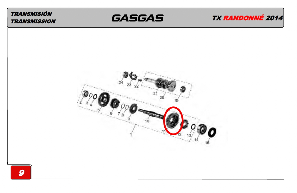Gas Gas Randonne ,2nd Gear 32T, NOS F28-520302-0