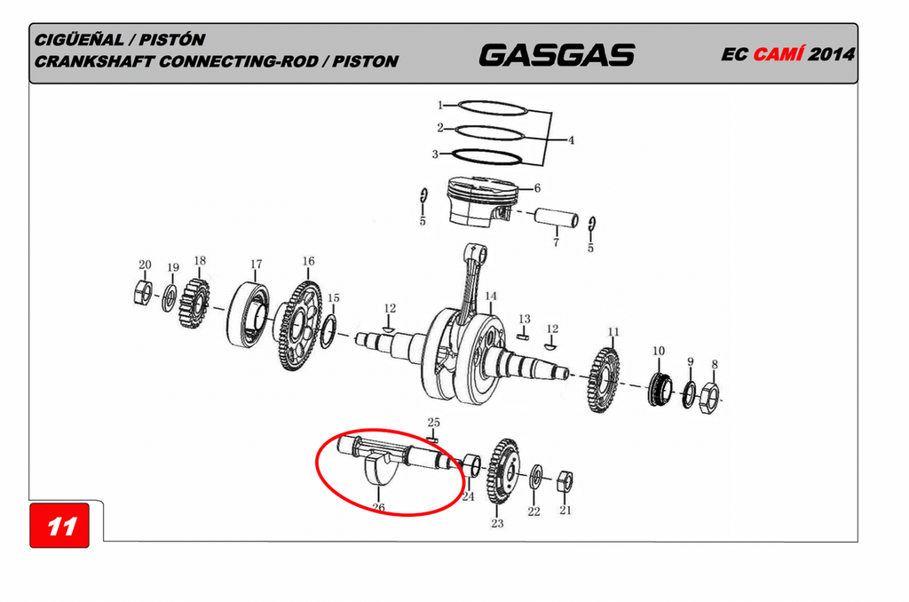 Gas Gas Cami AJP PR5 Zongshen NC250 ,Balance Shaft, 13301ME300000