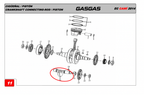 Gas Gas Cami AJP PR5 Zongshen NC250 ,Balance Shaft, 13301ME300000